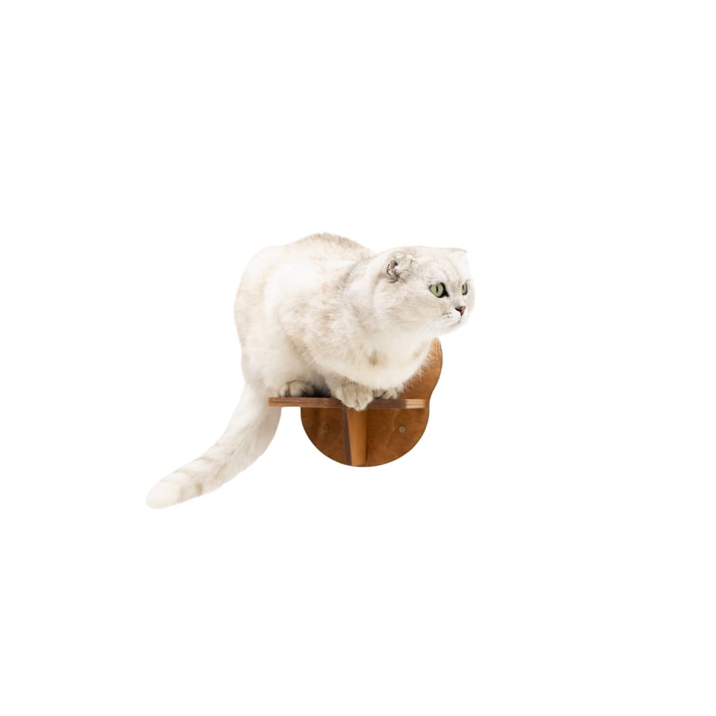 Wall-Mounted Cat Steps in Black Wood