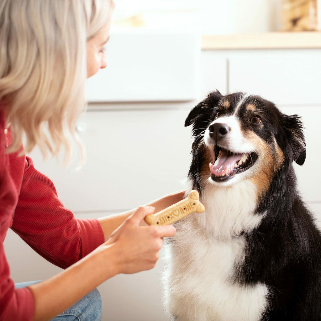 Crunchy Biscuits for Large Dogs Over 50 lbs, 24 oz Box