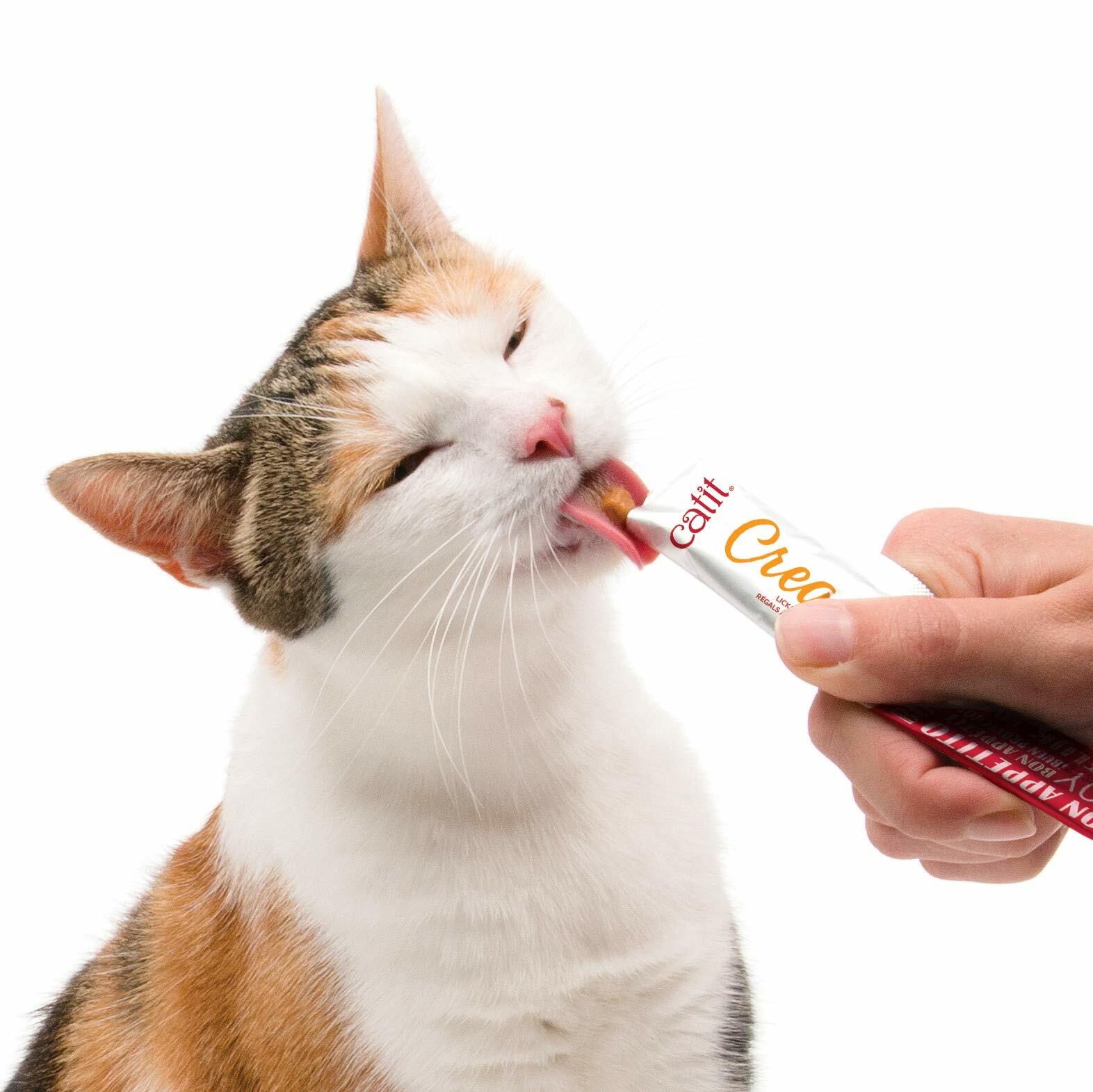 Catit Creamy Lickable Cat Treats Salmon Puree Tube