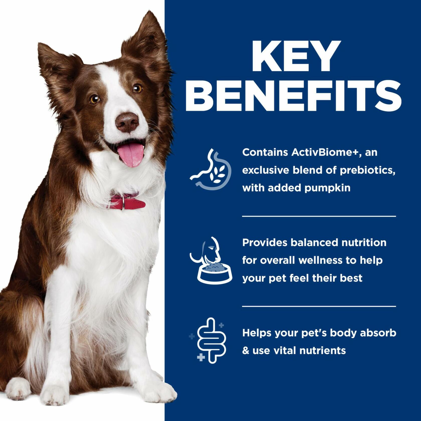 Digestive Support Formula for Dogs – Promotes Regularity and Gut Health