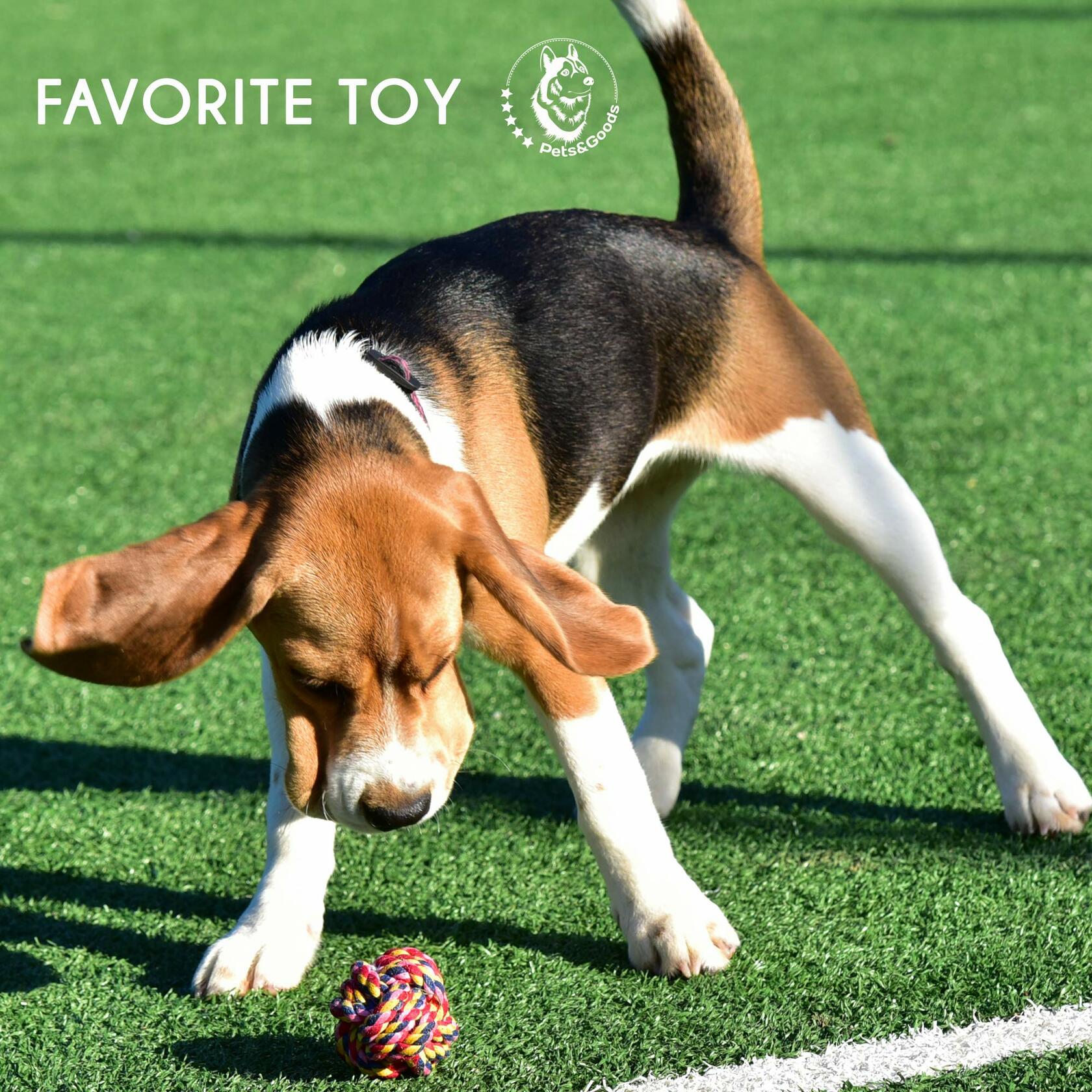 13-Pack Cotton Rope Toy Set for Puppies & Small Dogs
