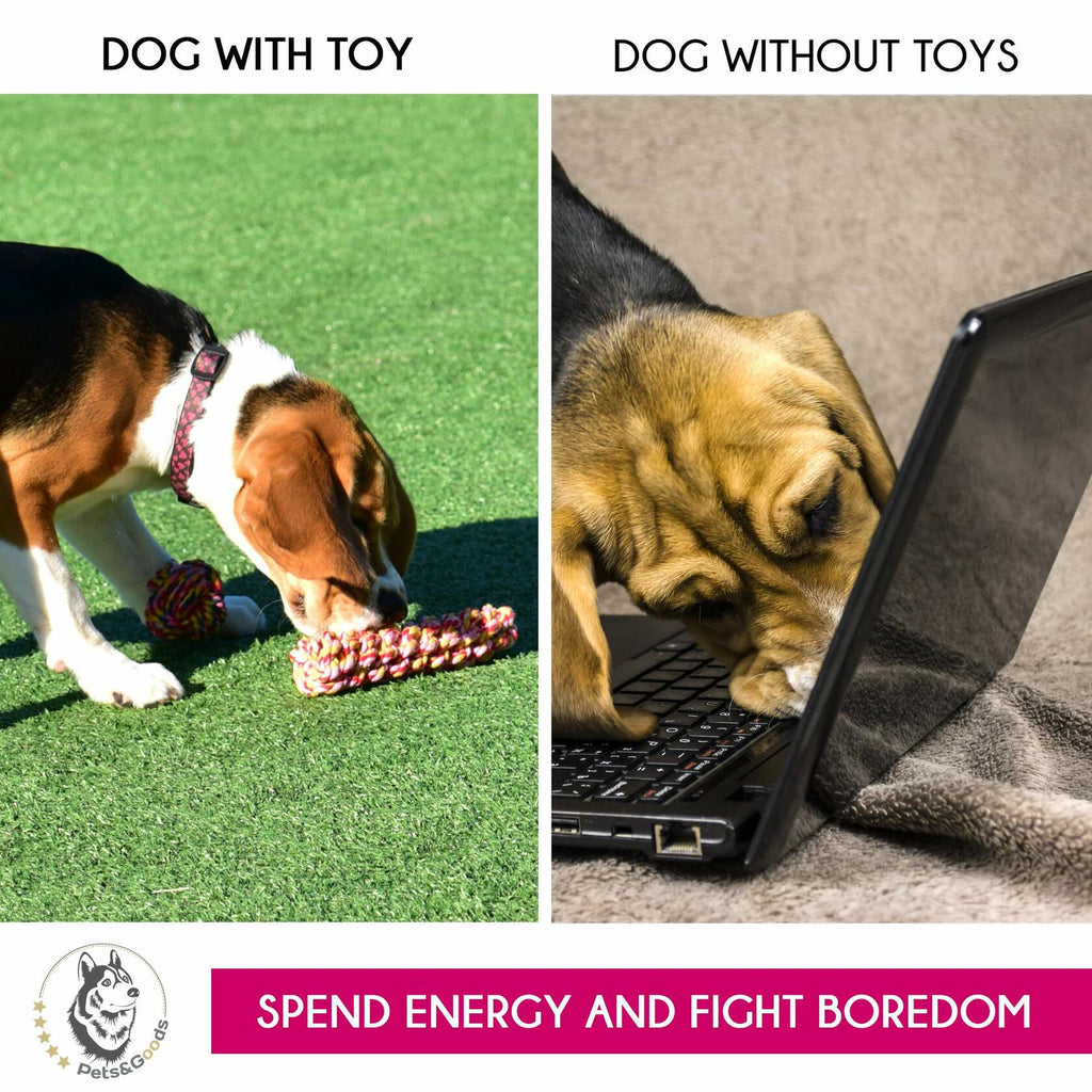 13-Pack Cotton Rope Toy Set for Puppies & Small Dogs