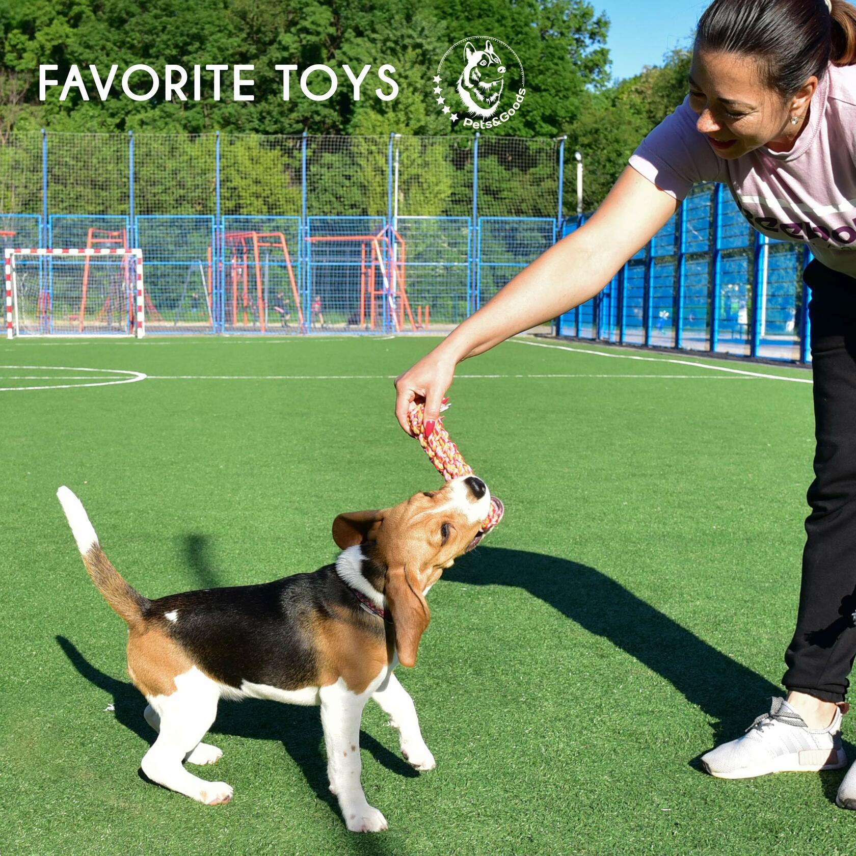 13-Pack Cotton Rope Toy Set for Puppies & Small Dogs