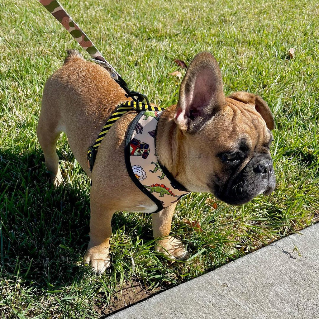 Jurassic Bark Reversible Dog Harness – Dino & Camo Prints