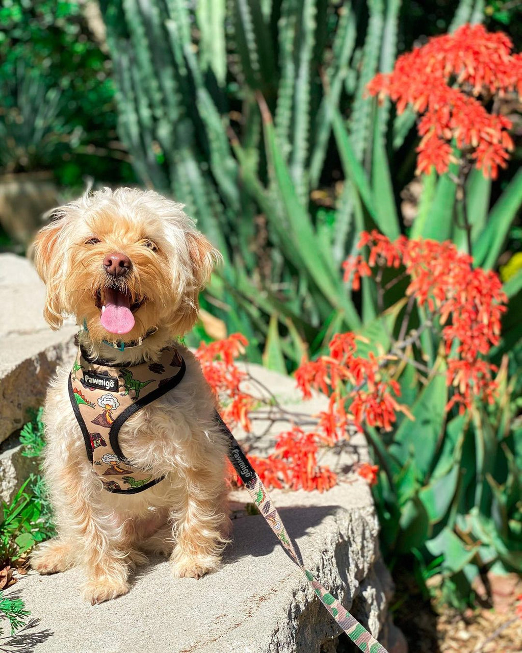 Jurassic Bark Reversible Dog Harness – Dino & Camo Prints