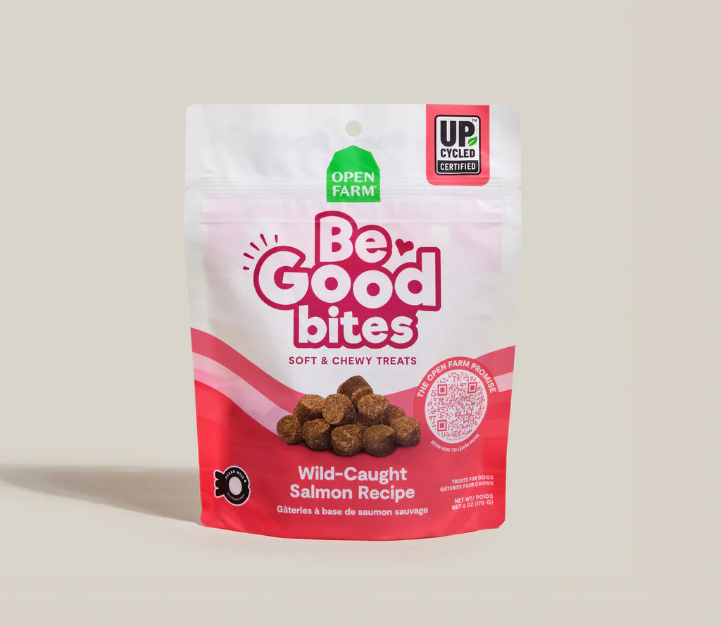 Wild-Caught Salmon Soft Dog Treats