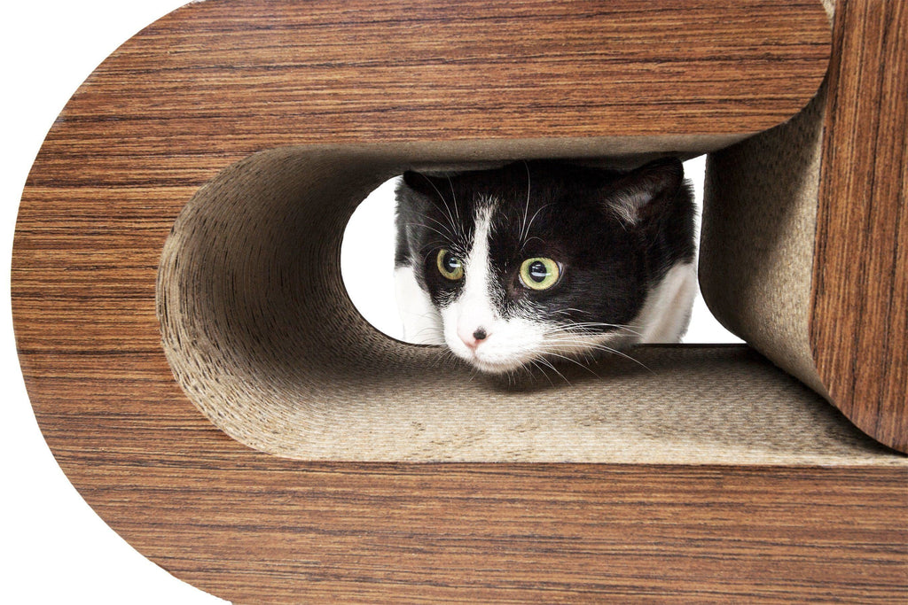 2-in-1 Cat Scratcher Lounger with Removable Interior, Large Size