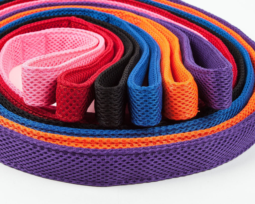 Aero Mesh 360° Dual-Sided Adjustable Mesh Dog Leash, 50"