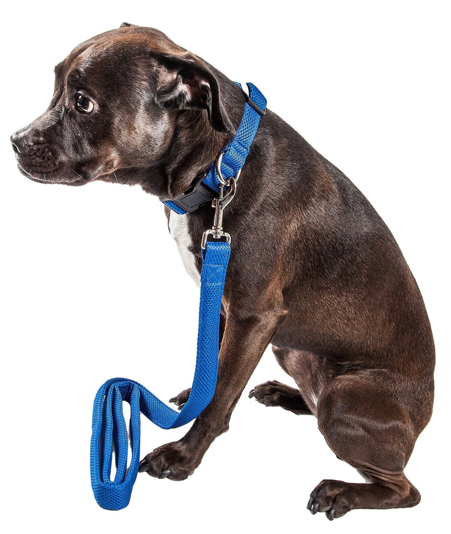 Aero Mesh 360° Dual-Sided Adjustable Mesh Dog Leash, 50"