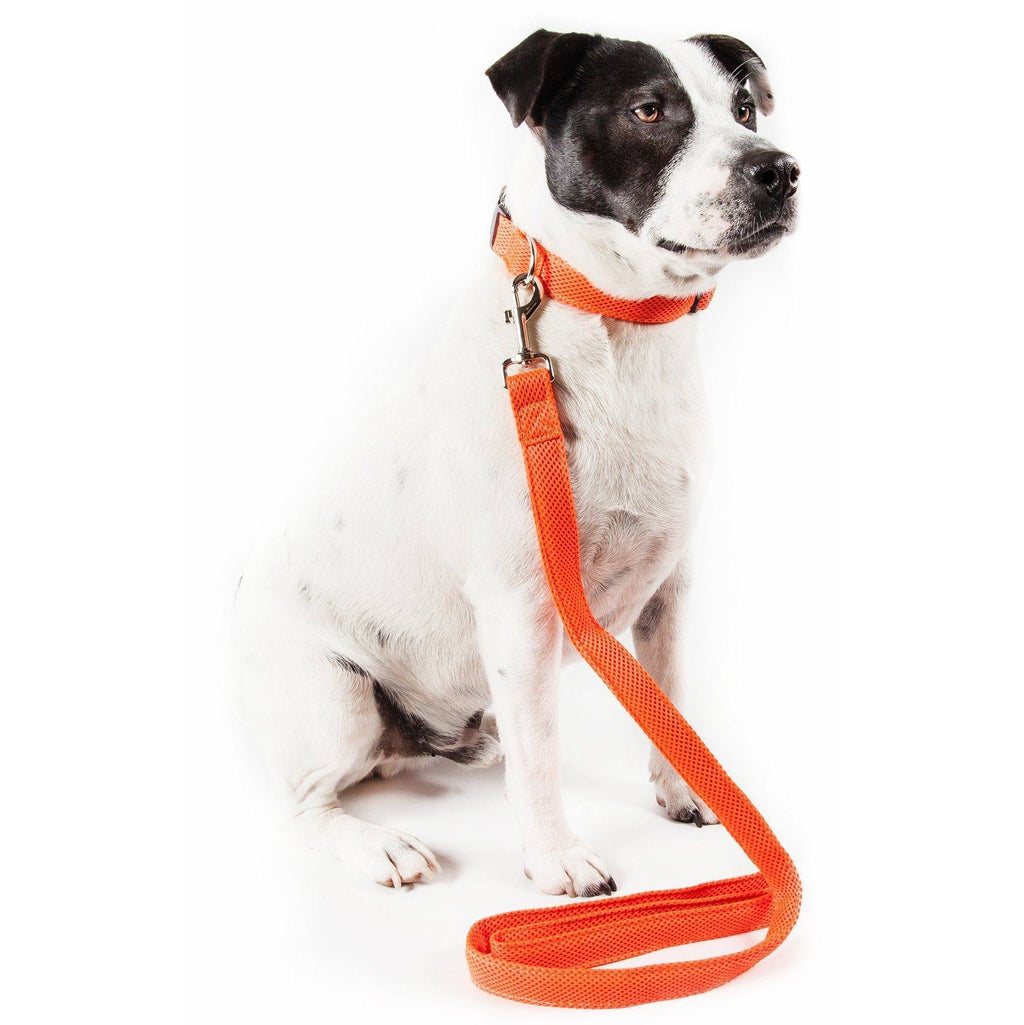 Aero Mesh 360° Dual-Sided Adjustable Mesh Dog Leash, 50"