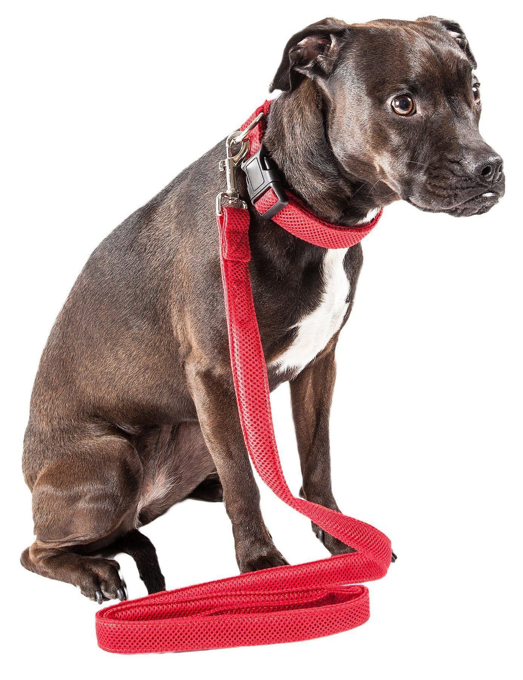 Aero Mesh 360° Dual-Sided Adjustable Mesh Dog Leash, 50"