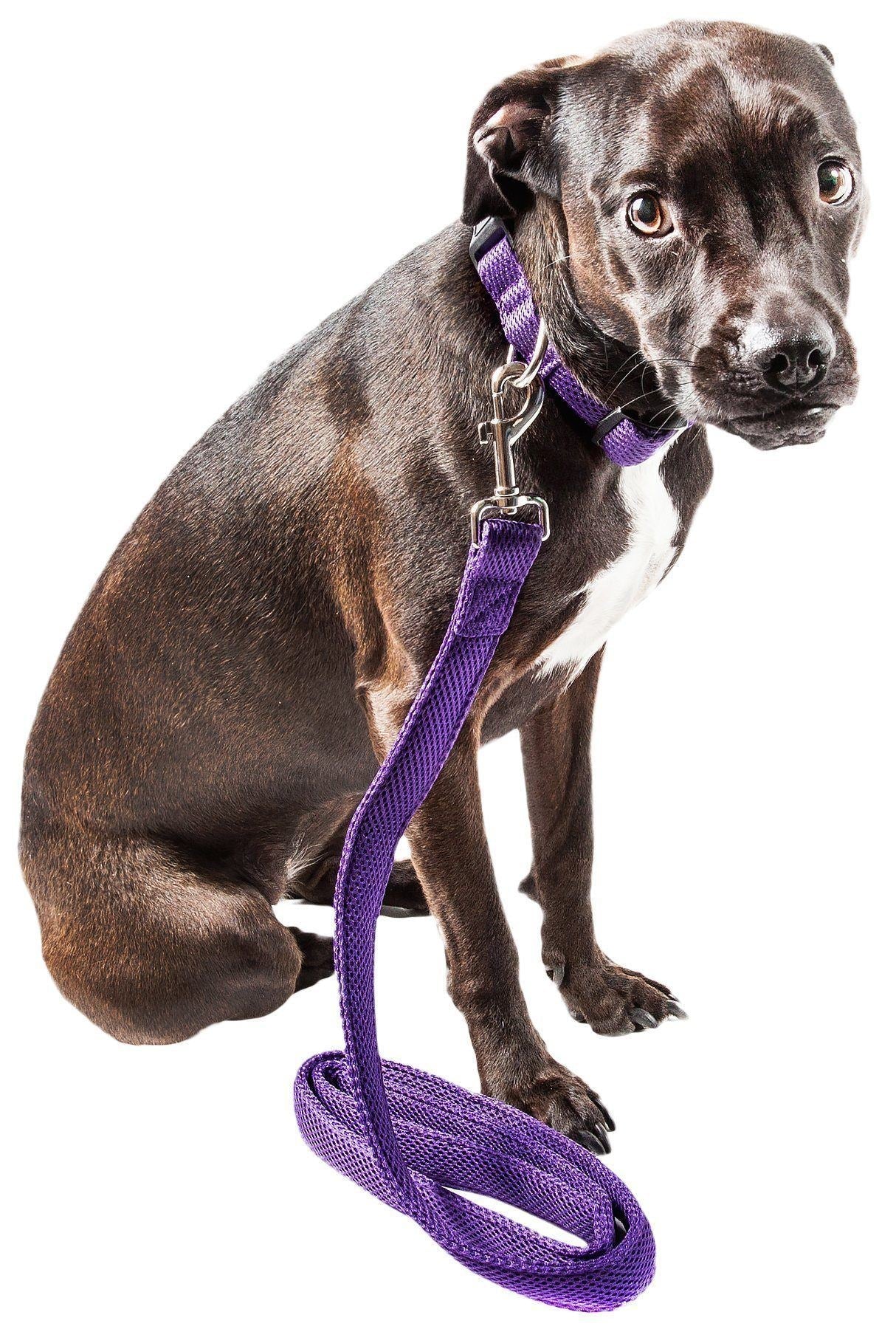 Aero Mesh 360° Dual-Sided Adjustable Mesh Dog Leash, 50"