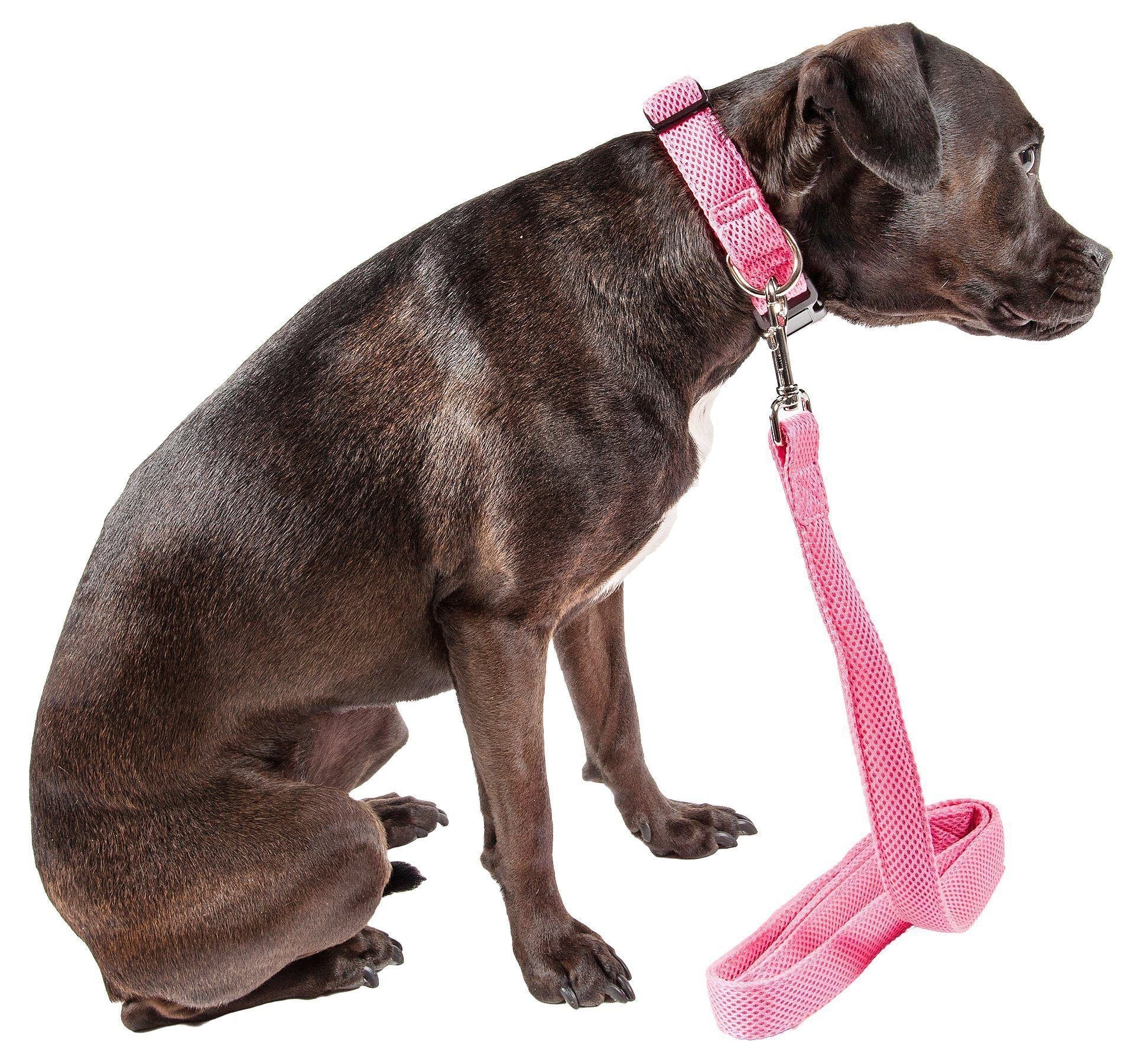 Aero Mesh 360° Dual-Sided Adjustable Mesh Dog Leash, 50"