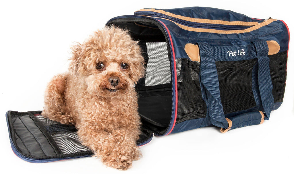 Aero-Zoom Lightweight Wire Framed Travel Pet Carrier, Small