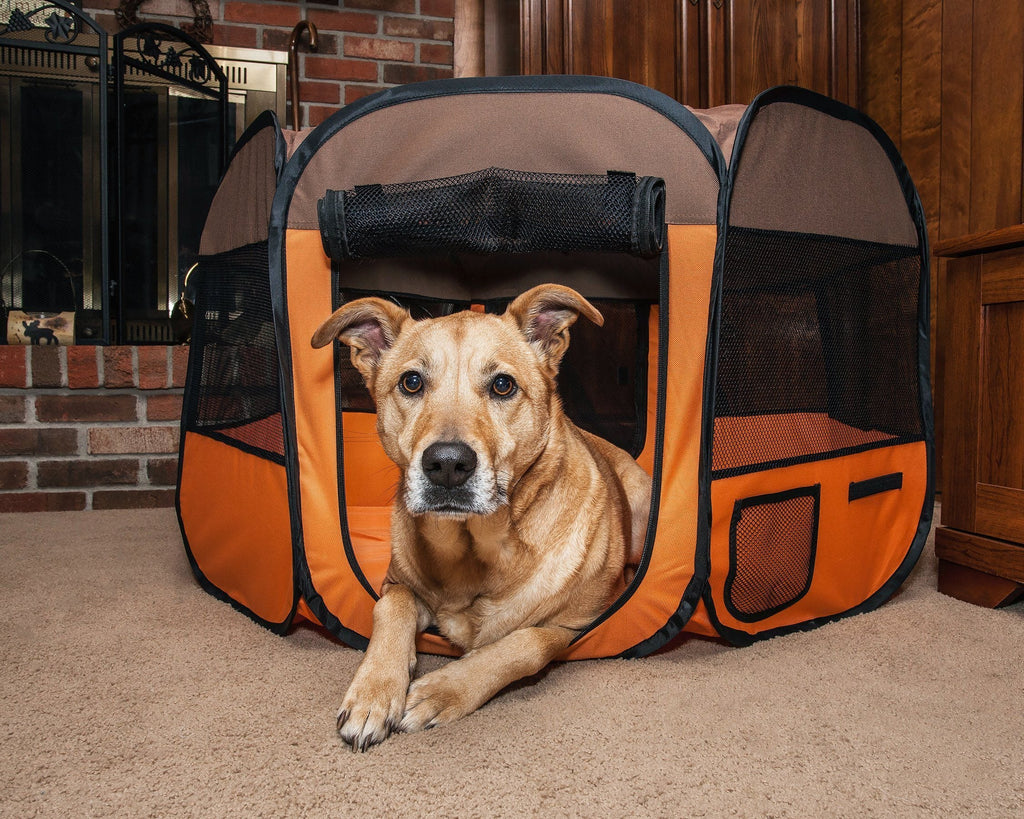 Lightweight Folding Travel Dog Playpen with Mesh Panels