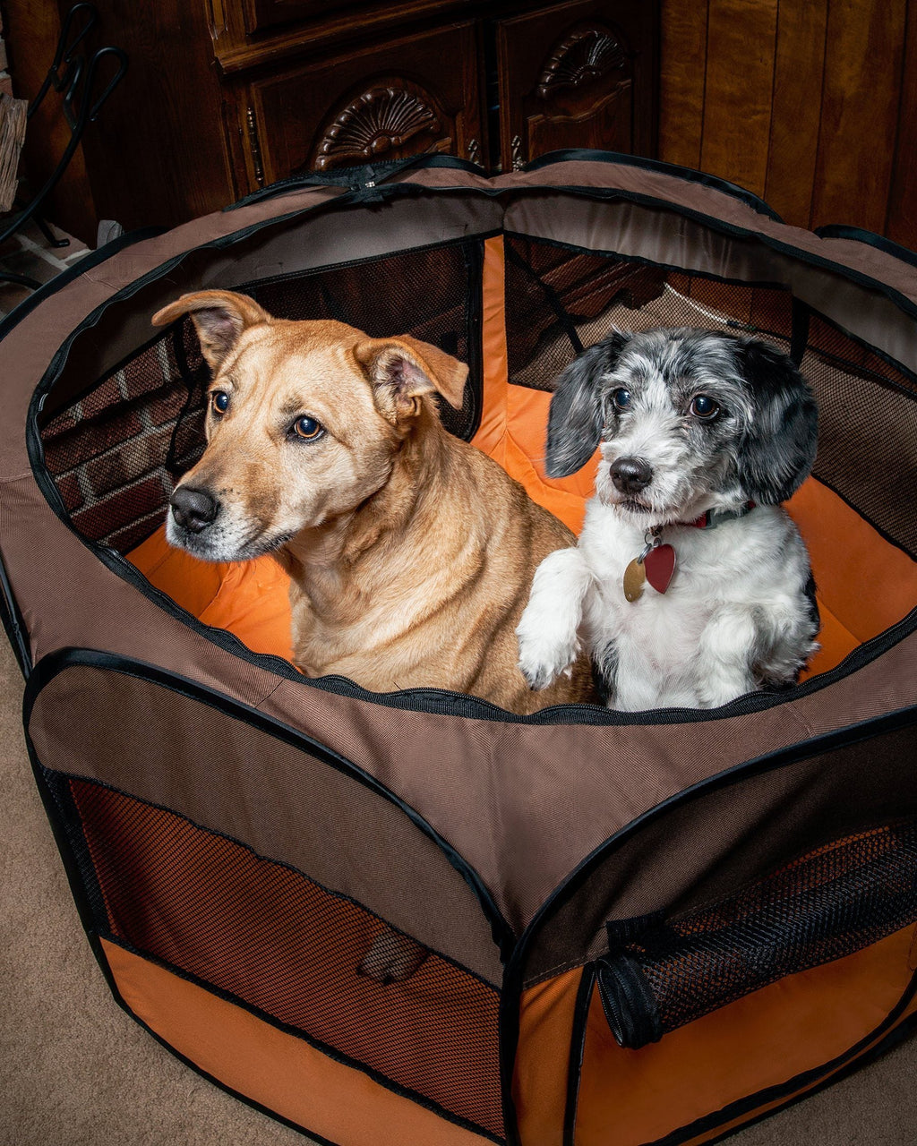 Lightweight Folding Travel Dog Playpen with Mesh Panels