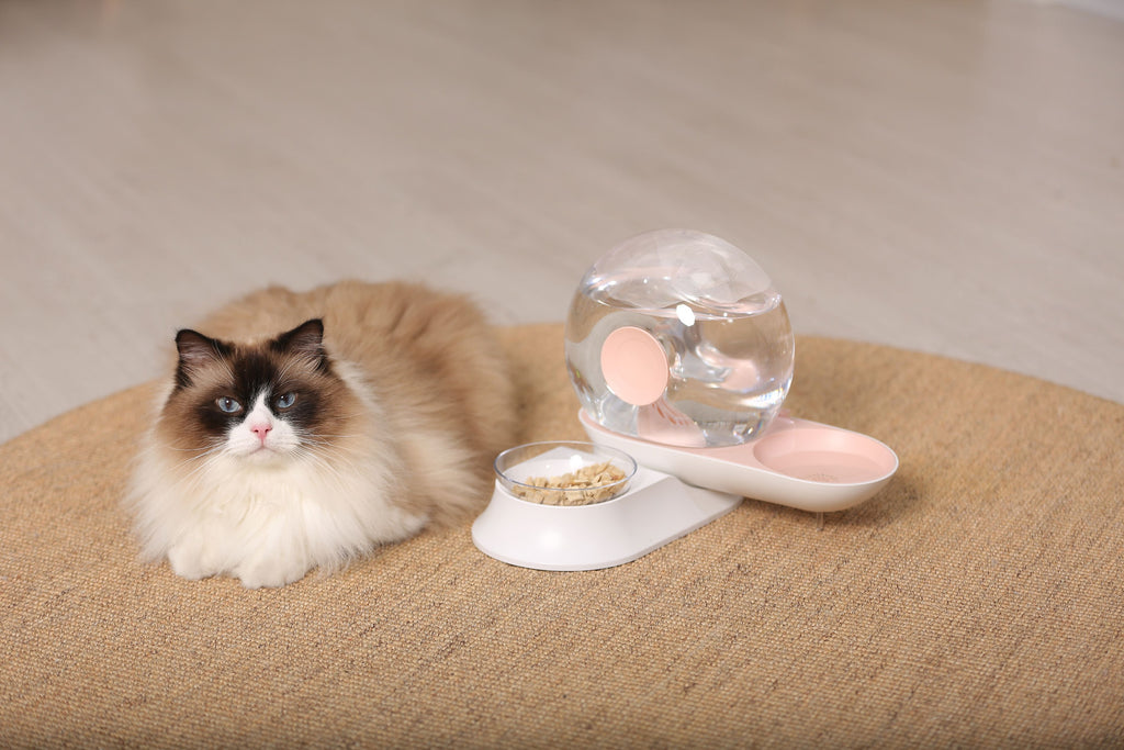 2-in-1 Snail-Shaped Filtered Water and Food Bowl for Cats and Small Dogs