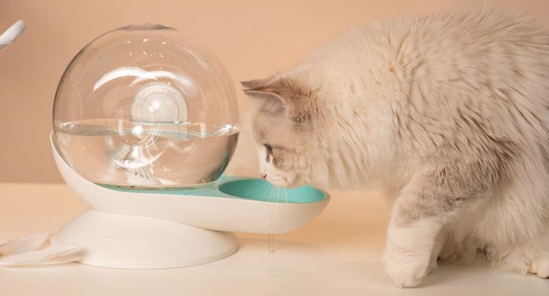 2-in-1 Snail-Shaped Filtered Water and Food Bowl for Cats and Small Dogs