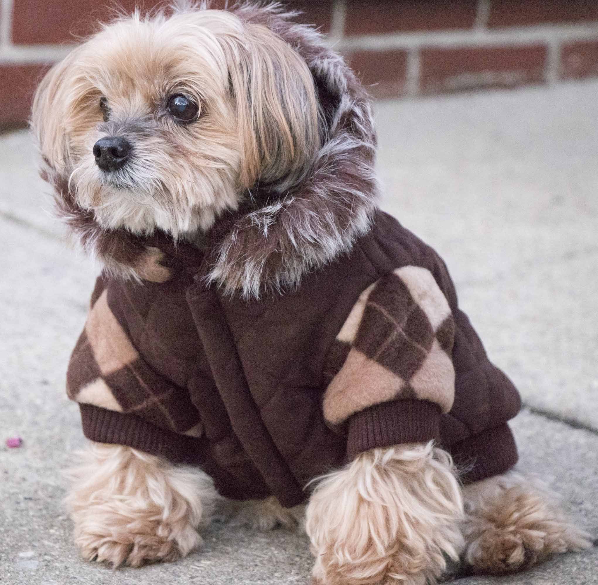 Suede Argyle Dog Sweater Coat with Removable Hood