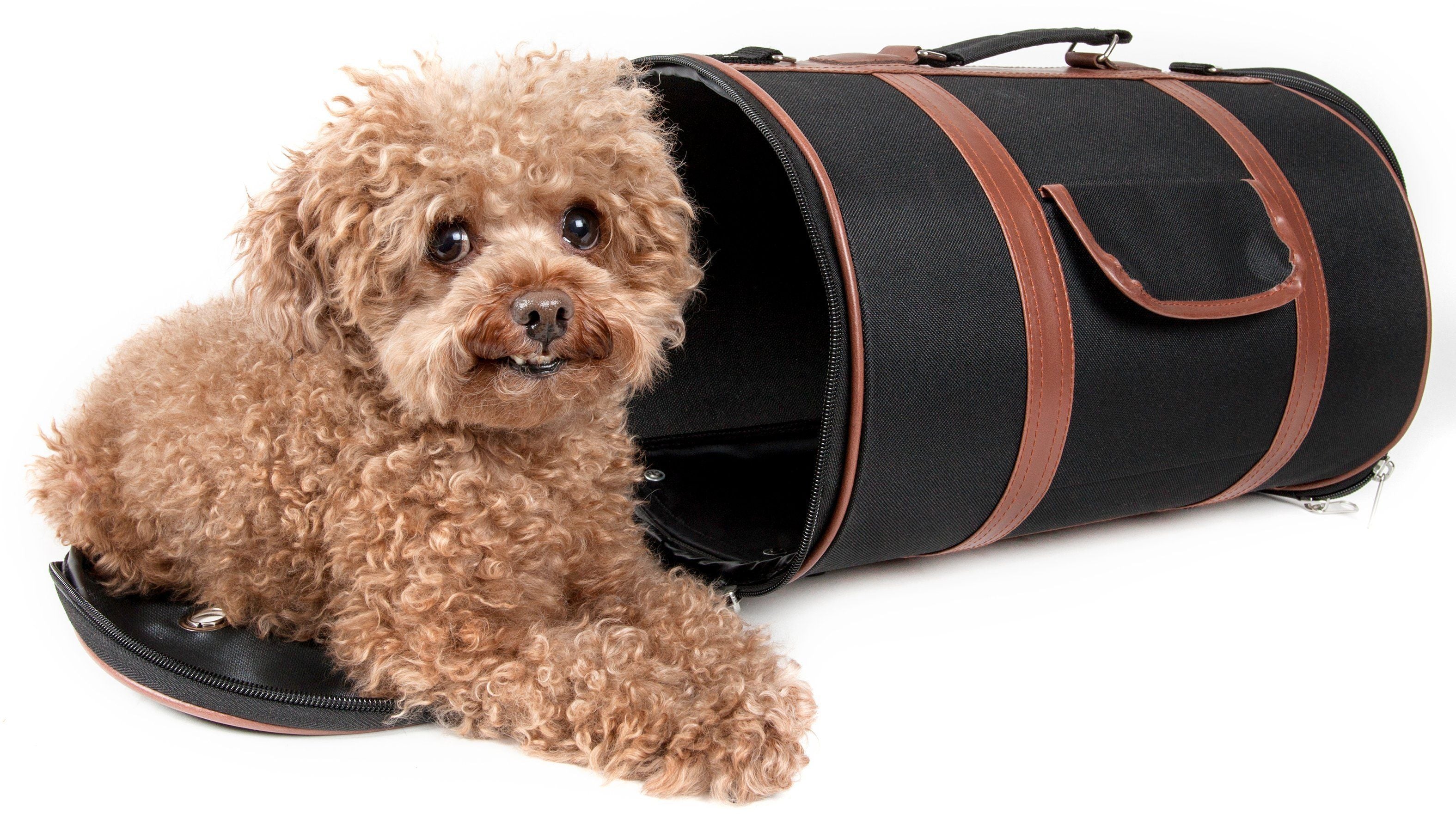 Bark Avenue Airline Approved Cylindrical Pet Carrier, Small