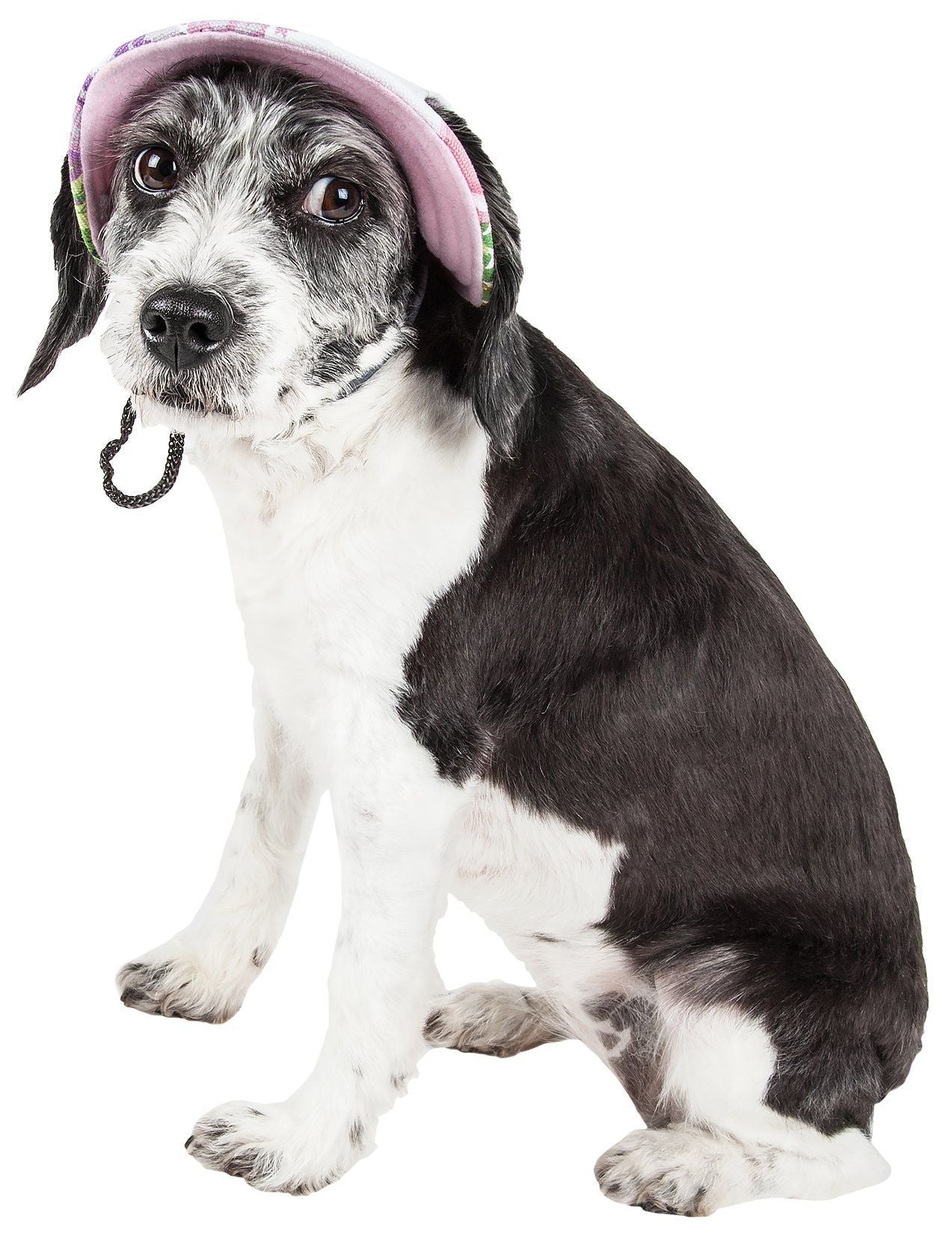 Botanic Bark Floral UV Protectant Brimmed Dog Hat