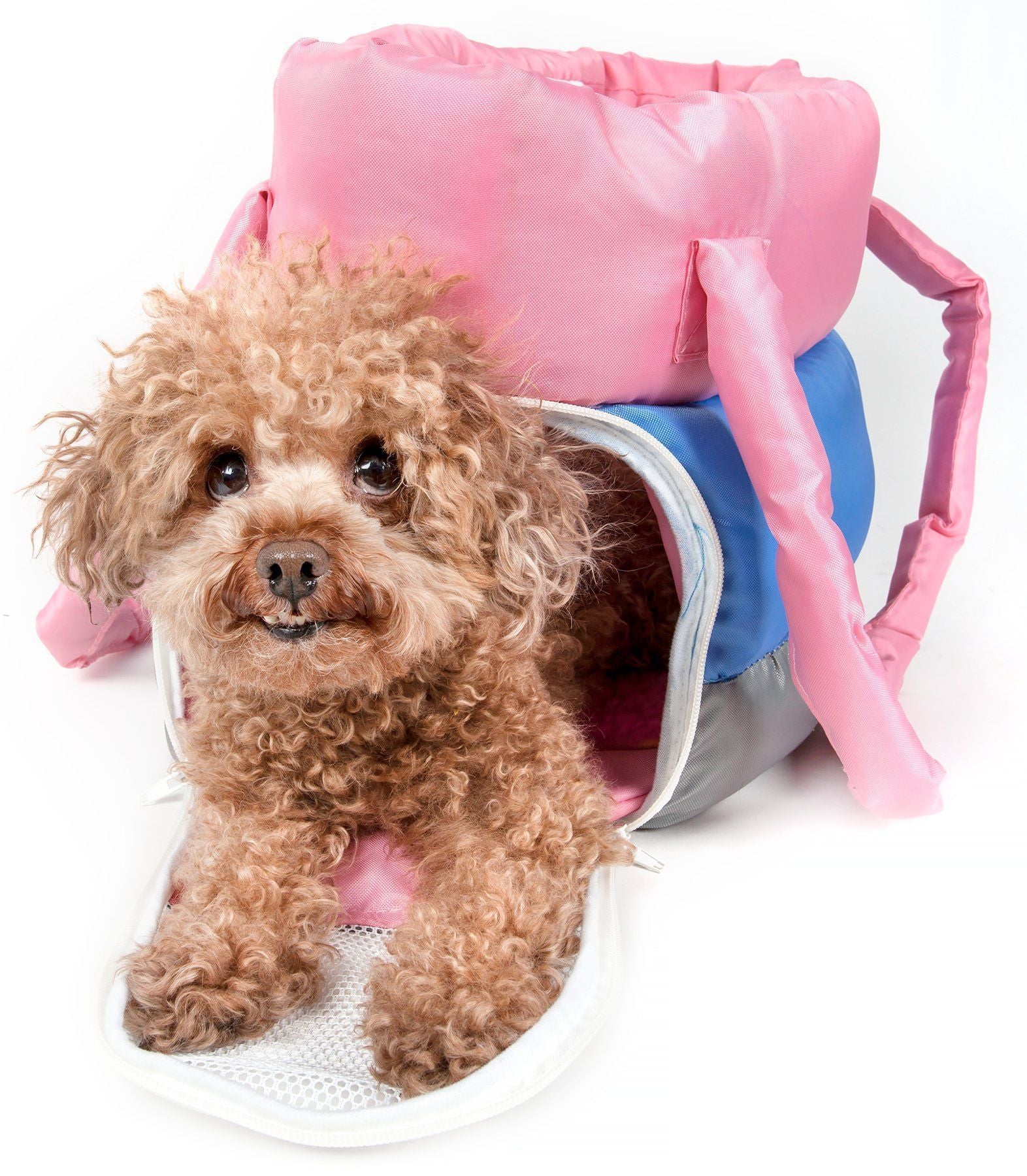 Bubble-Poly Insulated Pet Carrier for Small to Medium Pets