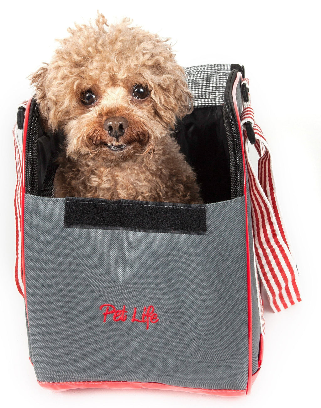 Pet Carrier with Candy-Cane Straps and Mesh Front, 15" x 8" x 11"