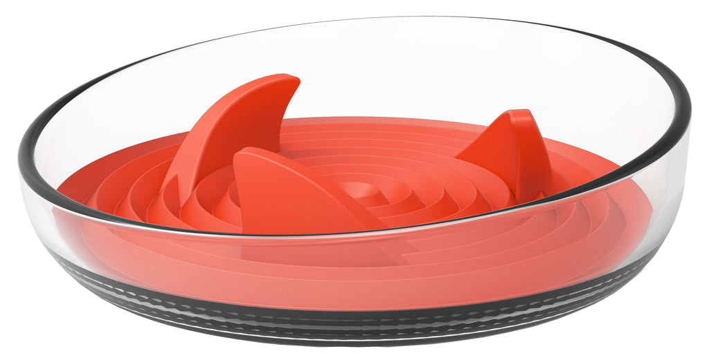 Modern Slow Feeder Bowl with Removable Silicone Insert