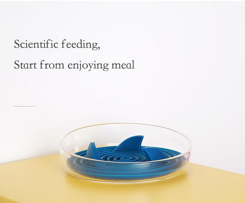 Modern Slow Feeder Bowl with Removable Silicone Insert