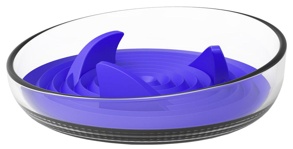 Modern Slow Feeder Bowl with Removable Silicone Insert