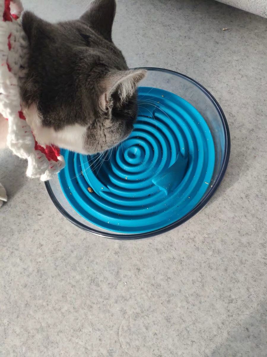 Modern Slow Feeder Bowl with Removable Silicone Insert