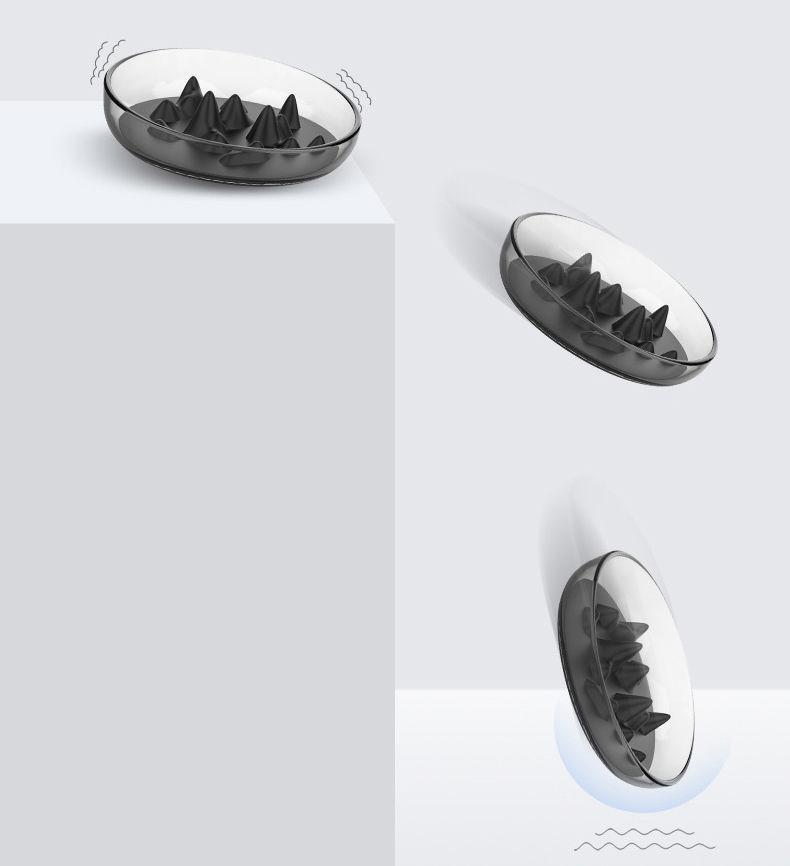 Modern Slow Feeder Bowl with Removable Silicone Insert