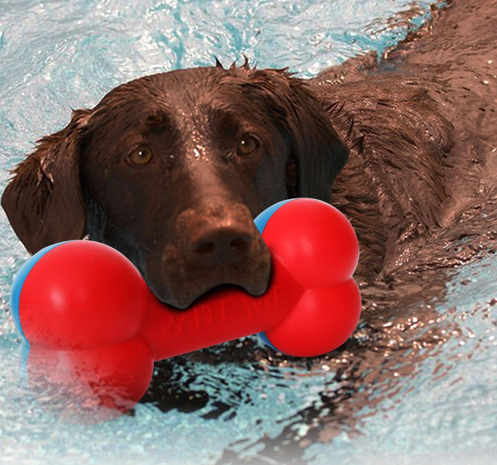 Denta-Bone TPR Durable Floating Dog Toy, Waterproof, 7.87"