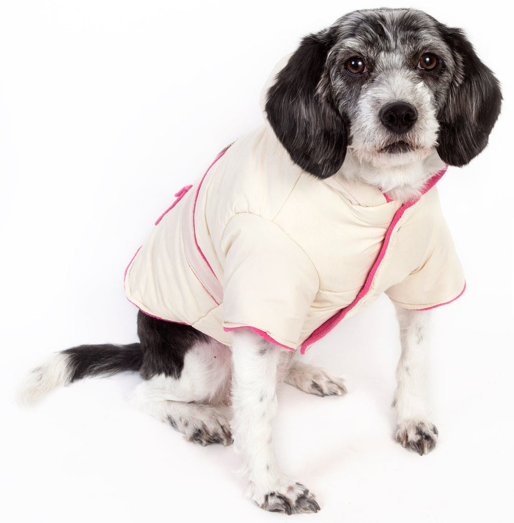 Dog Jacket with 3M Thinsulate Insulation and Diamond Buckle