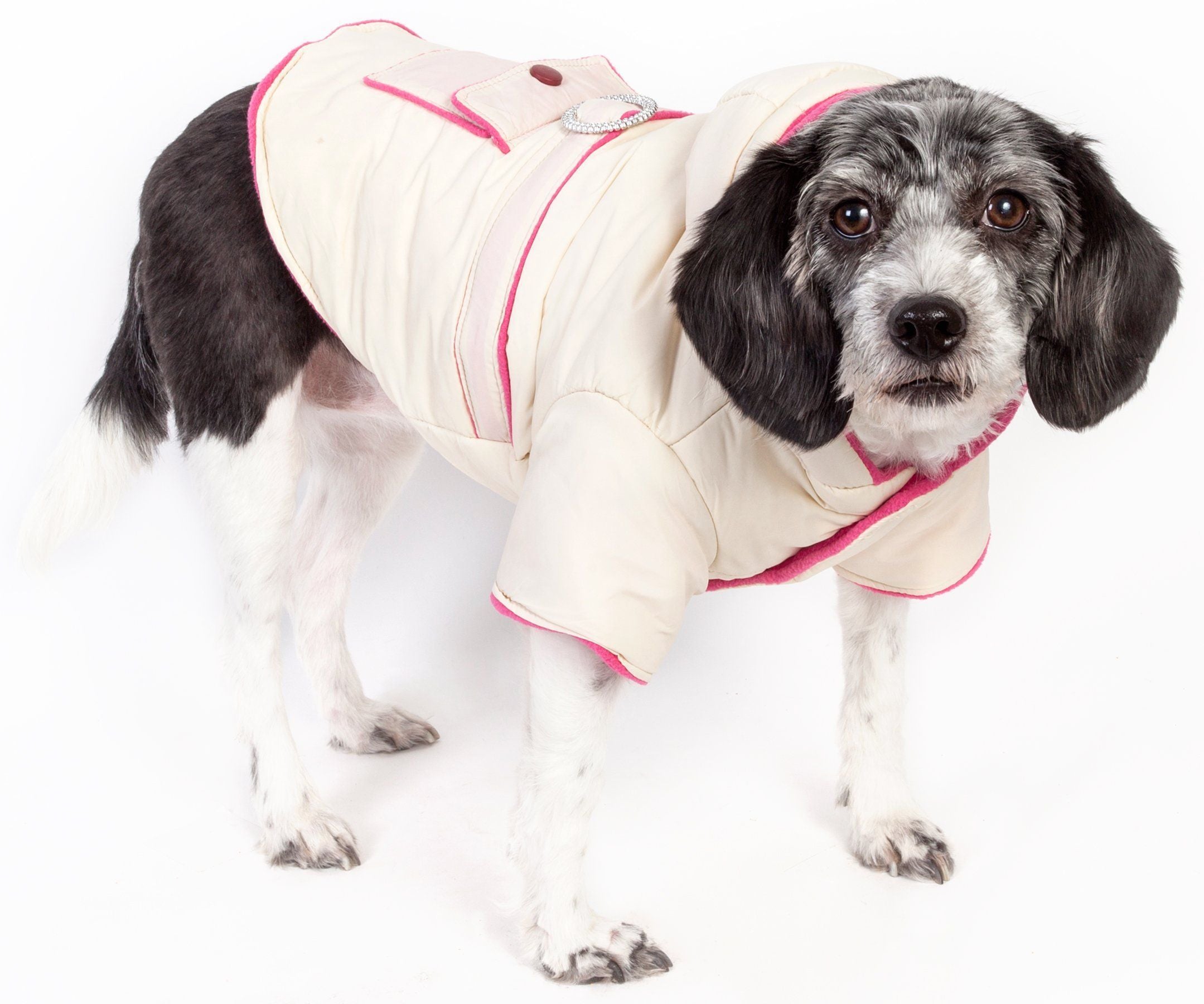 Dog Jacket with 3M Thinsulate Insulation and Diamond Buckle
