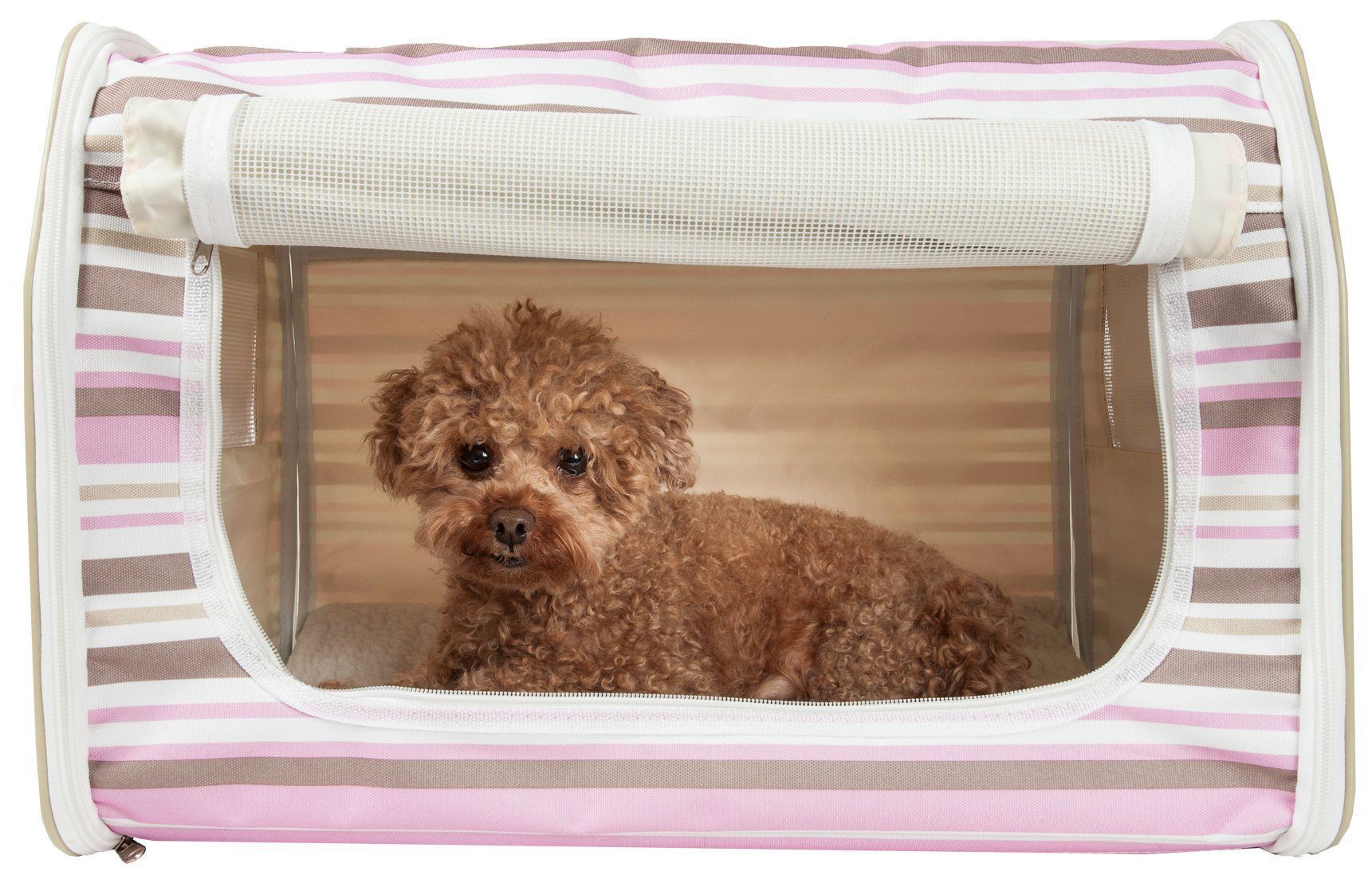Collapsible Wire-Framed Dog Crate with Reversible Cushion