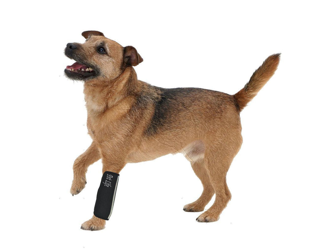 Extreme-Neoprene Reflective Joint Support Sleeves for Pets, Set of 4