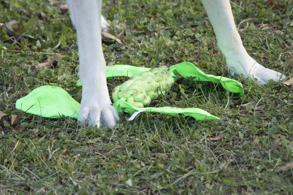 Extreme Twist Jute and Nylon Squeak Dog Toy