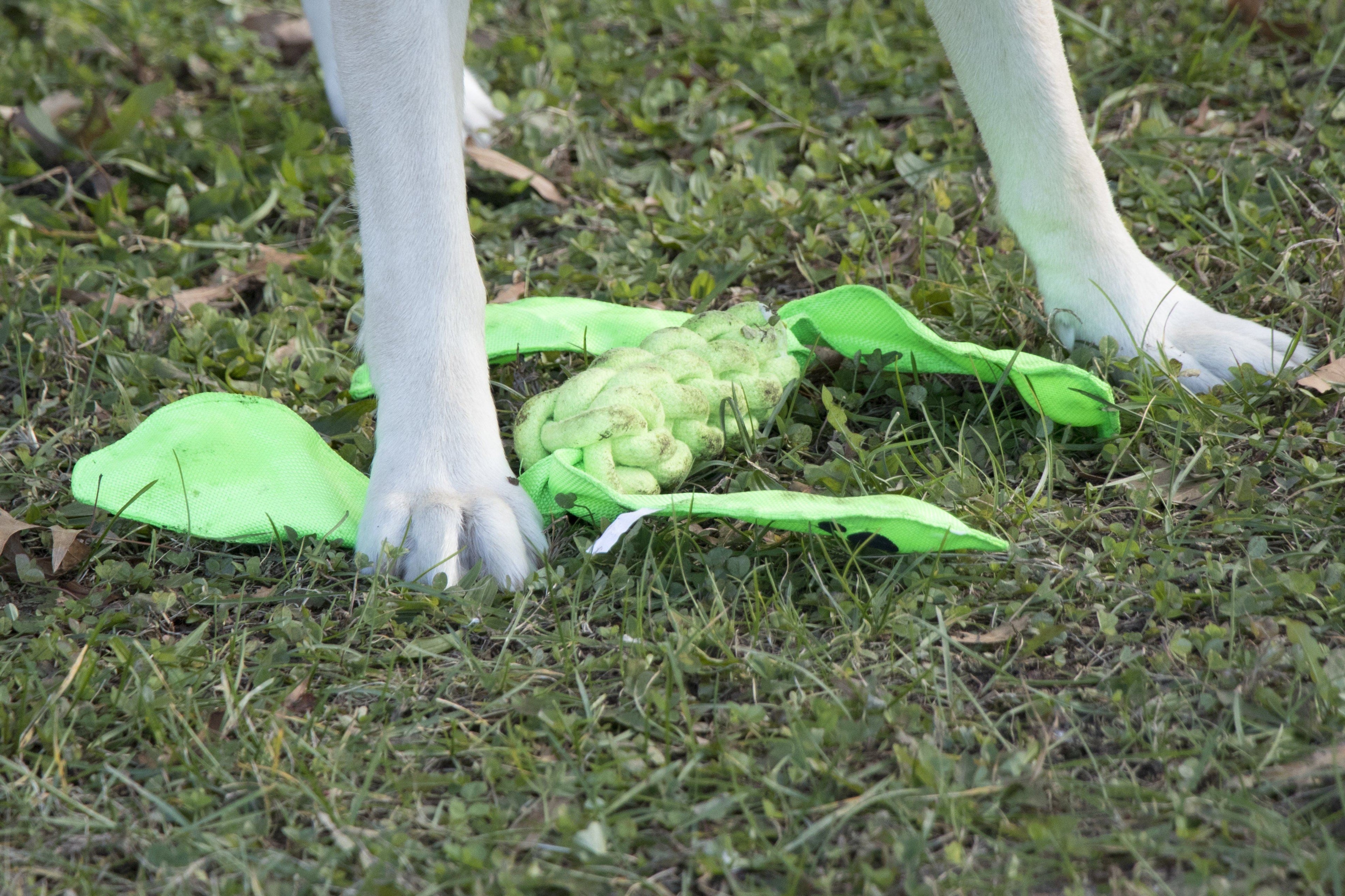 Extreme Twist Jute and Nylon Squeak Dog Toy