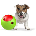 Foobler Automatic Puzzle Dog Food Dispenser with Timer