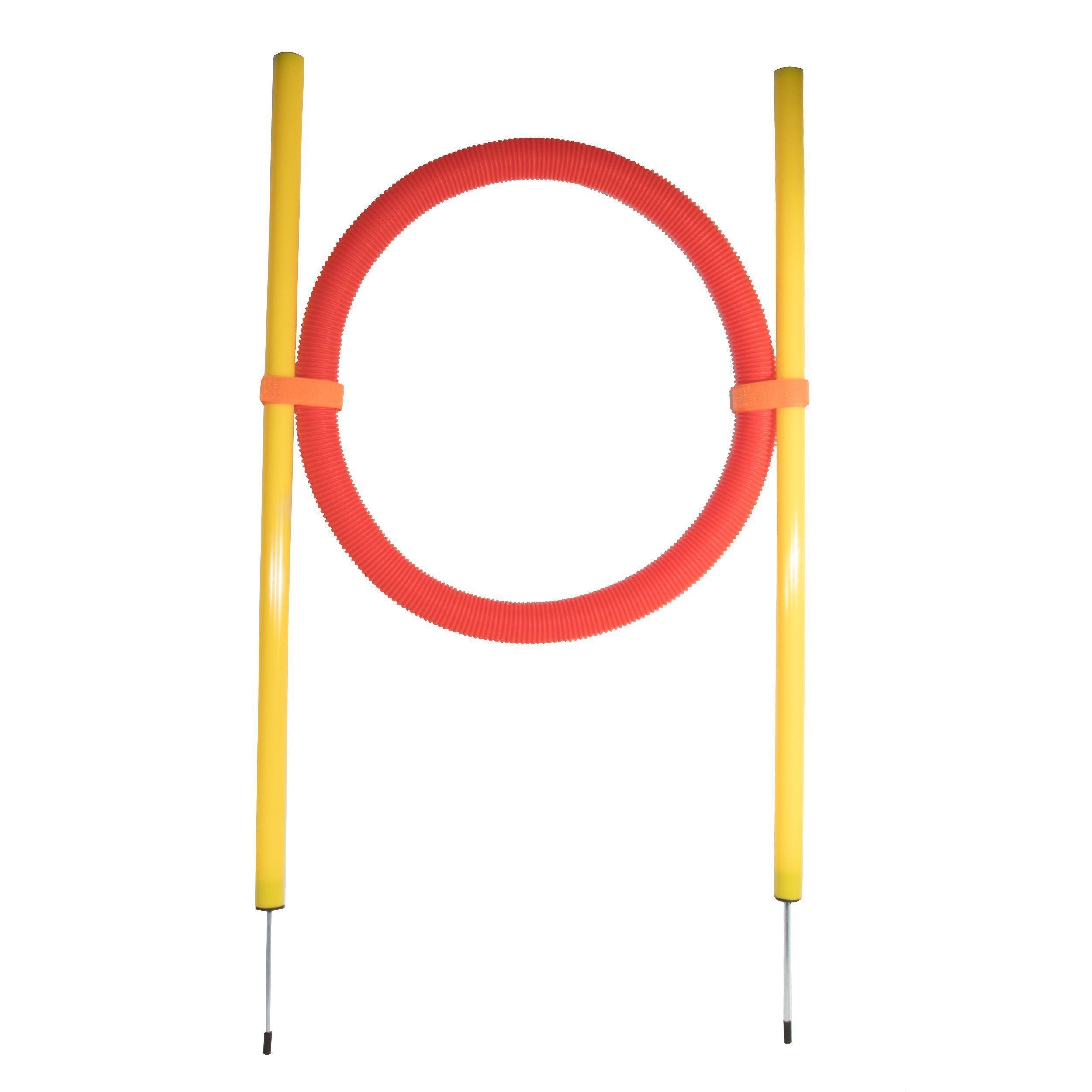Hoop Hopper Collapsible Agility Dog Hurdle Trainer, Foam & Fiberglass