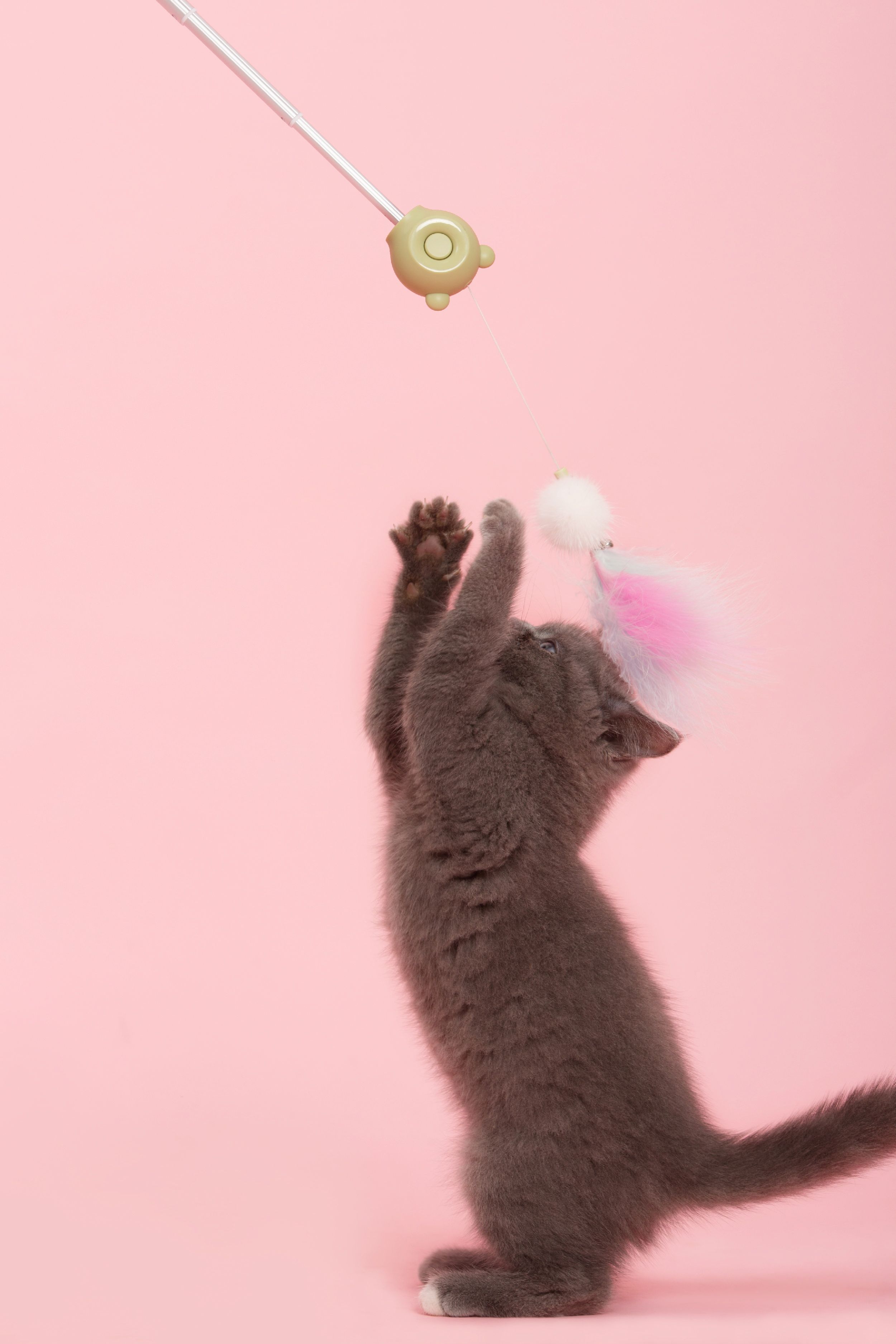 3-in-1 Cat Teaser Wand with Feather, Pom-Pom, and Laser Pointer