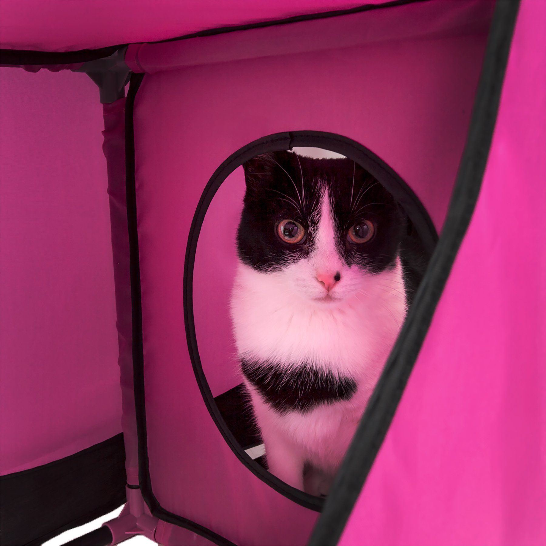 Kitty-Play Collapsible Cat House with Tunnels, 27" x 14" x 27"