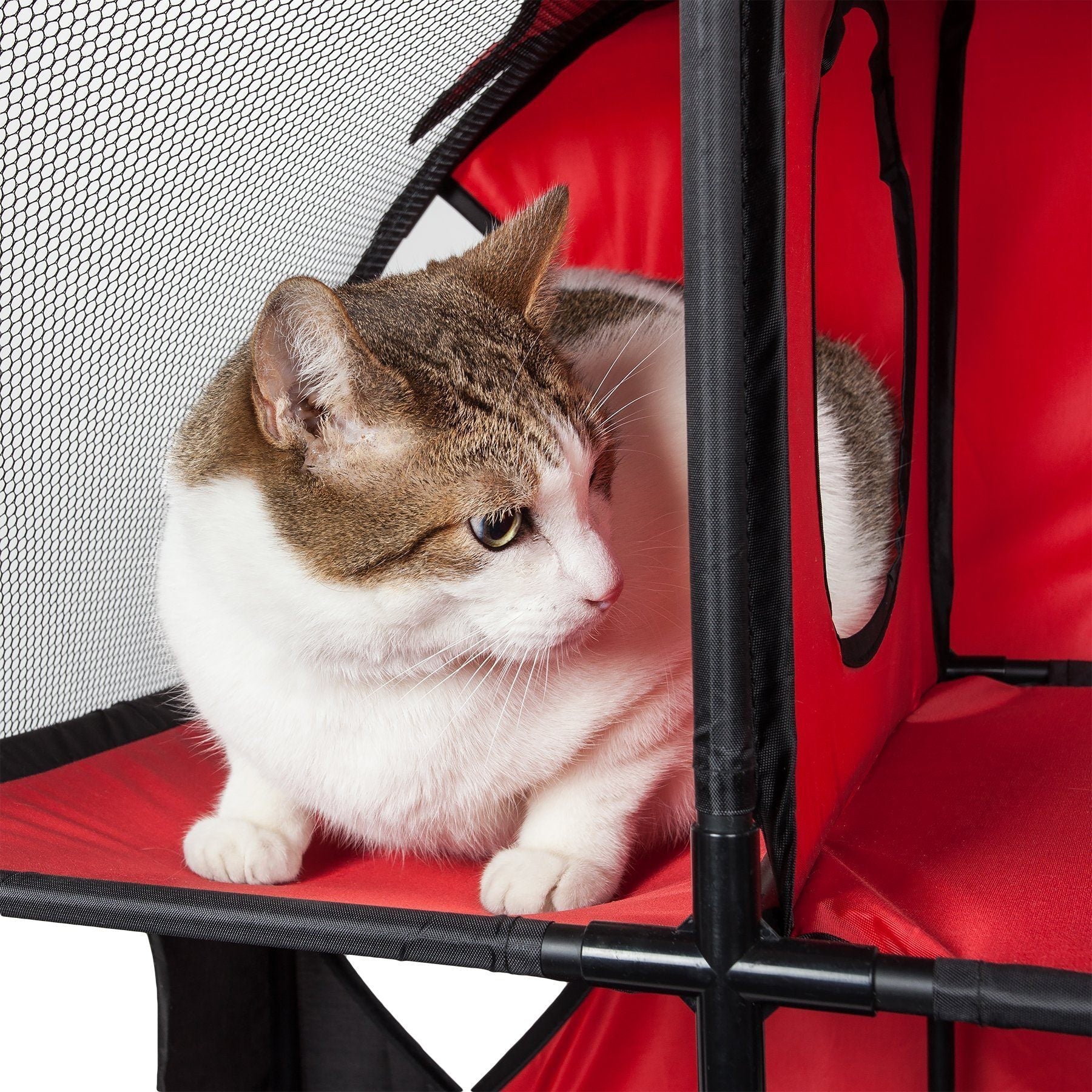 Kitty-Play Collapsible Cat House with Tunnels, 27" x 14" x 27"