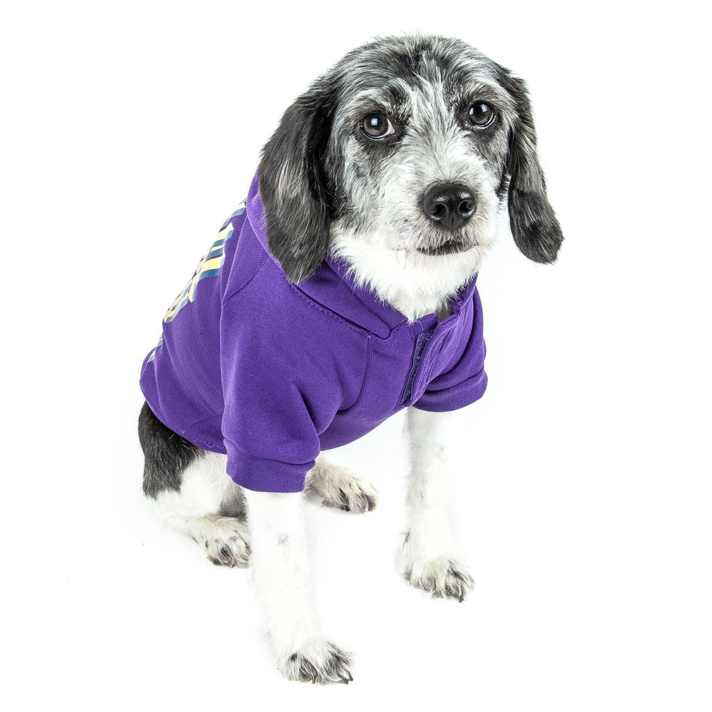 LED Snowman Hooded Pet Sweater with Leash Slit