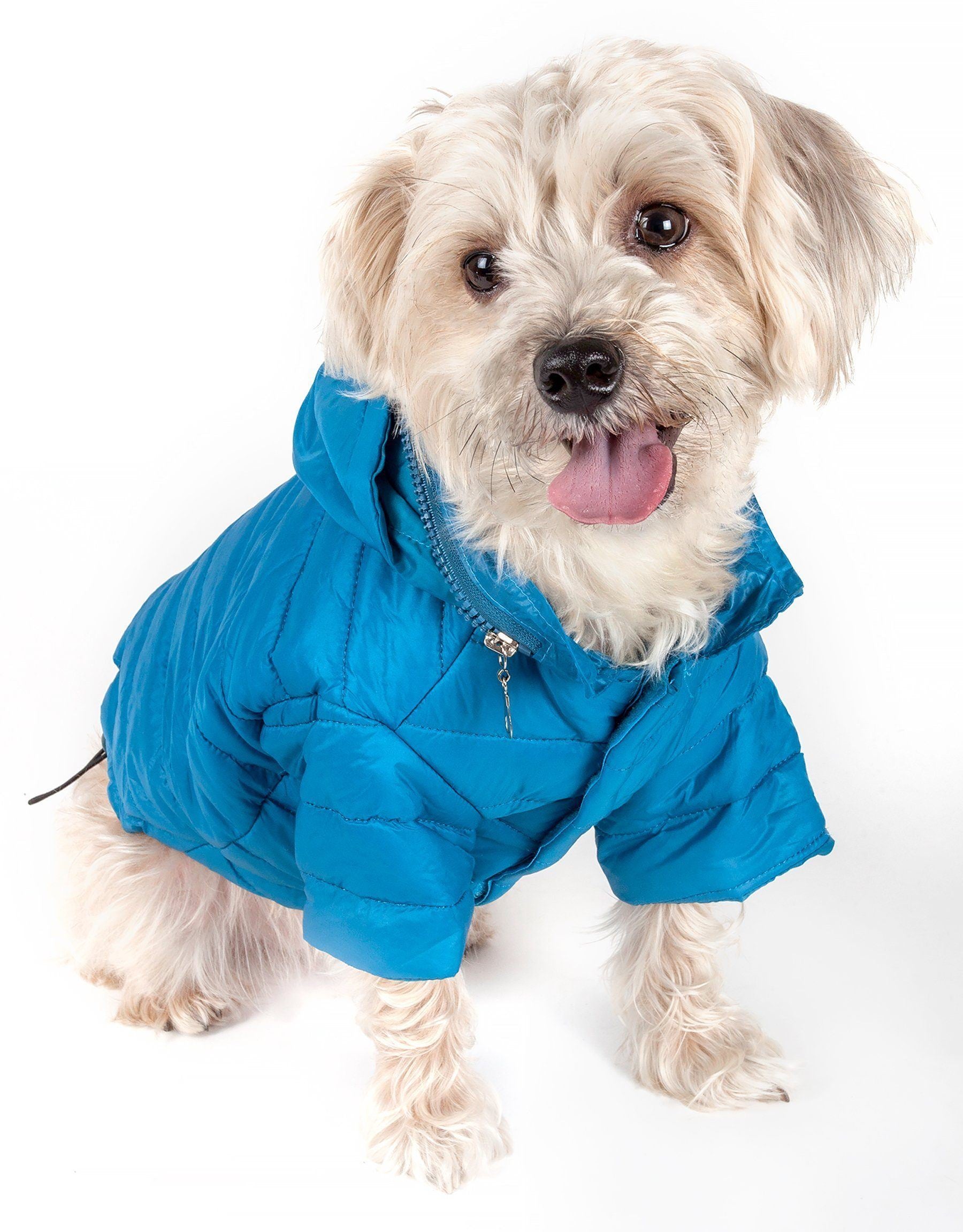 Sporty Avalanche Dog Coat with Thinsulate Thermal Layer