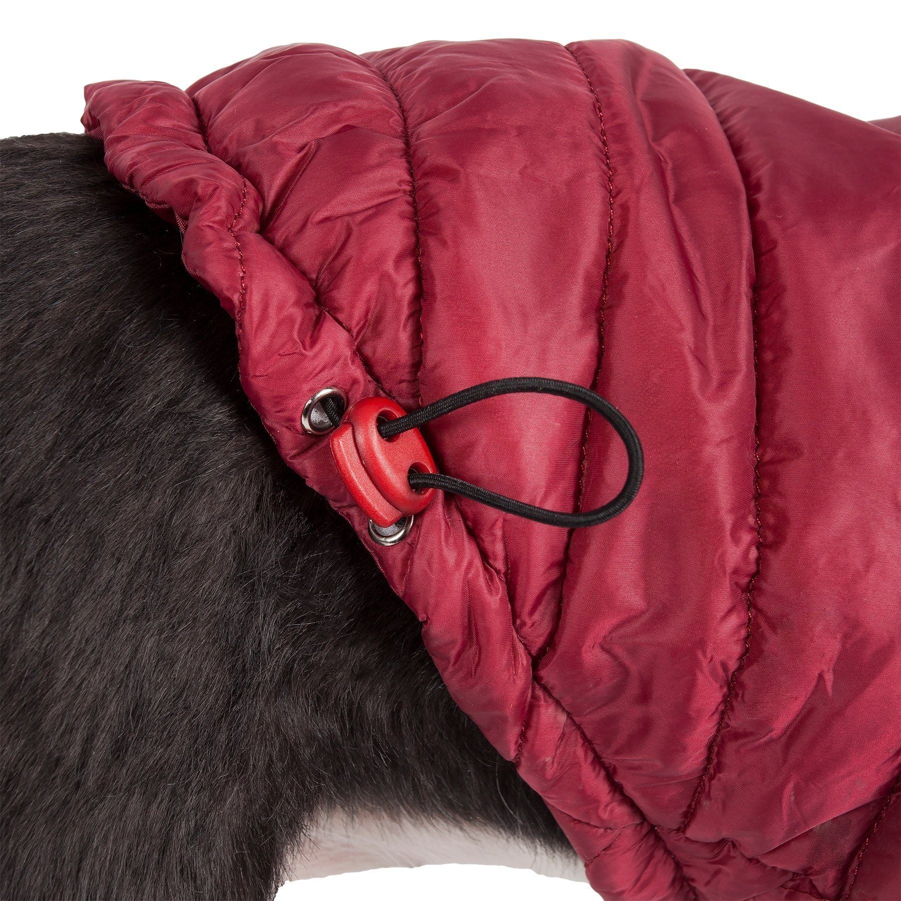 Sporty Avalanche Dog Coat with Thinsulate Thermal Layer