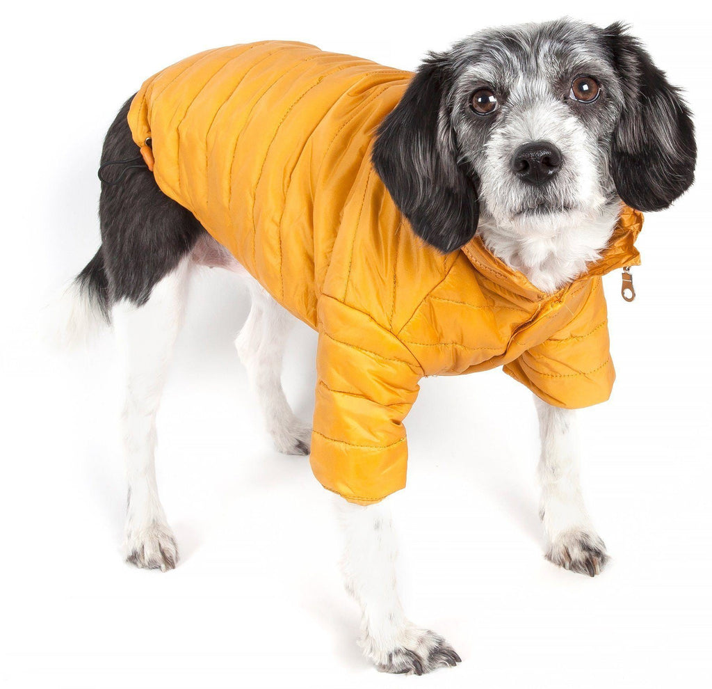 Sporty Avalanche Dog Coat with Thinsulate Thermal Layer