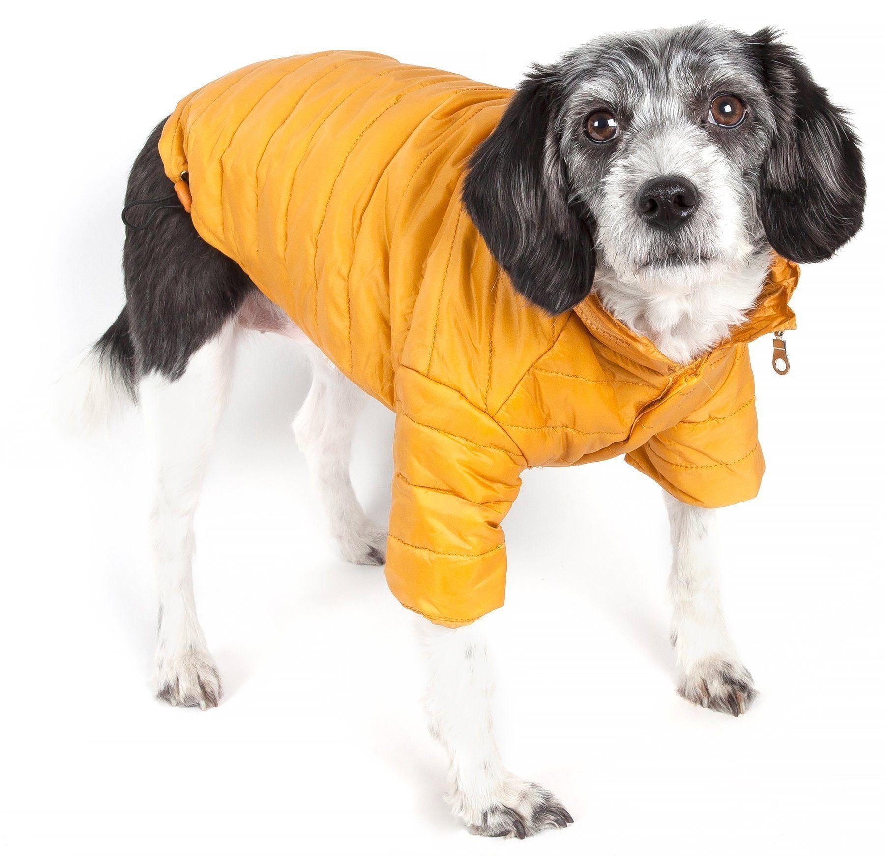 Sporty Avalanche Dog Coat with Thinsulate Thermal Layer