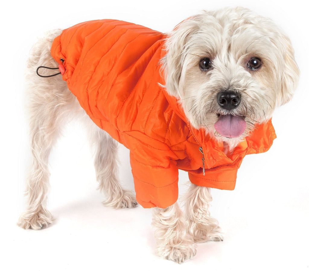 Sporty Avalanche Dog Coat with Thinsulate Thermal Layer